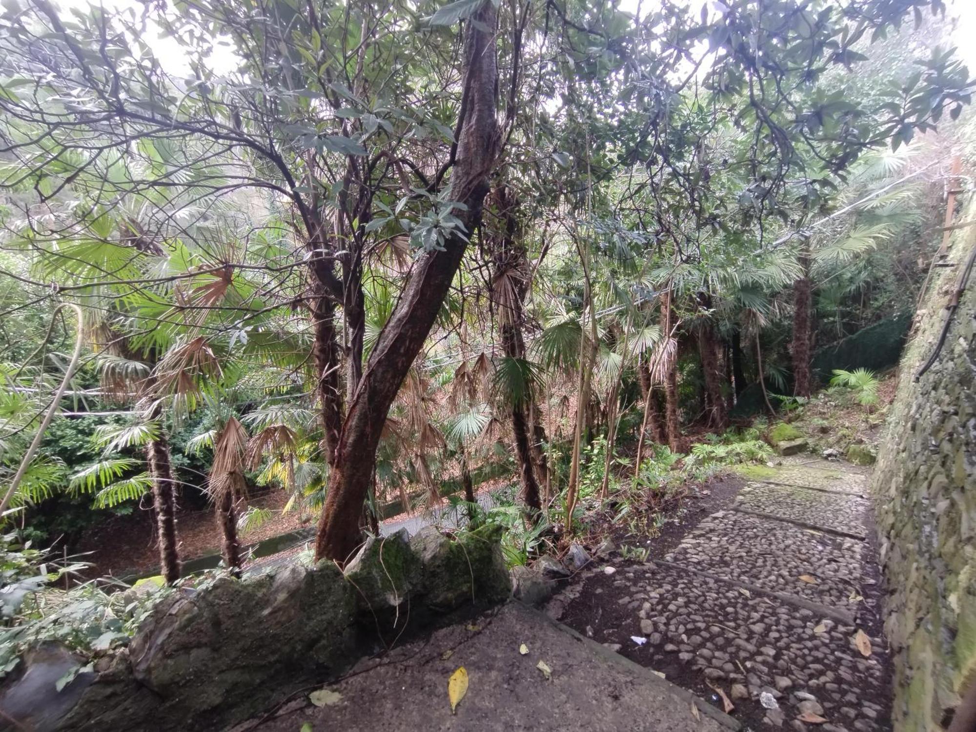 Apartamento The Garden House Como Exterior foto